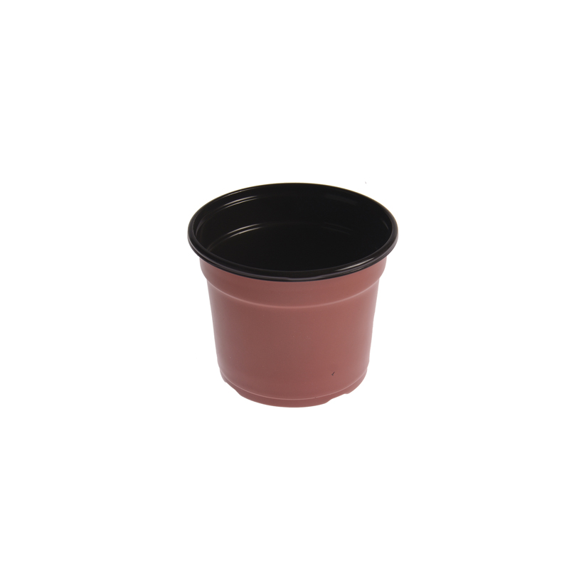MACETA  CULTIVO CARLUCCIO  10