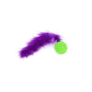 PELOTA C/PUAS/PLUMA/CASCABEL  CH27