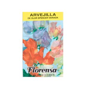 ARVEJILLA SPENCER ALTA VAR.SOB.FLORENSA