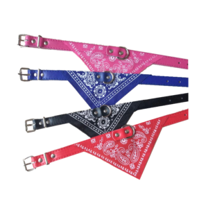 COLLAR C/PANUELO  2.5  GRANDE  8025