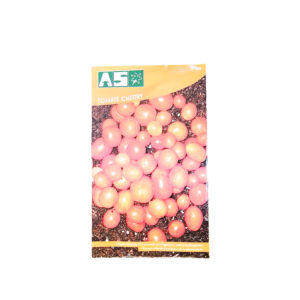 TOMATE CHERRY  AS SOBRE
