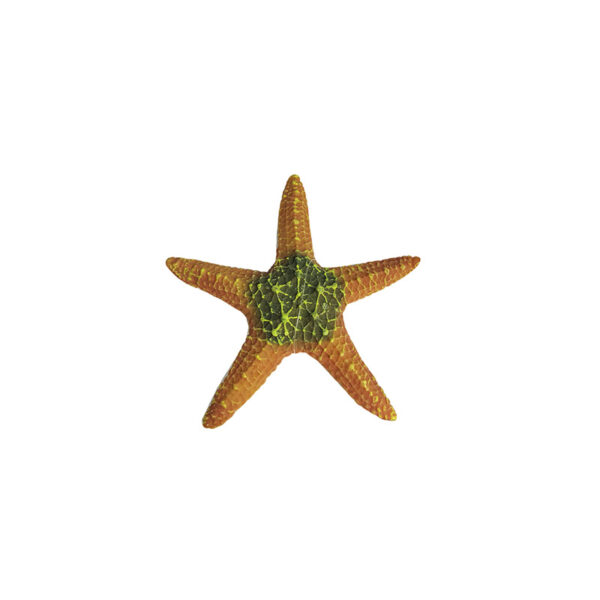 ESTRELLA DE MAR RESINA 19x19x3