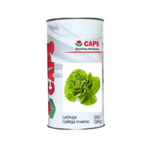 LECHUGA GALLEGA INVIERNO x 250 gs CAPS