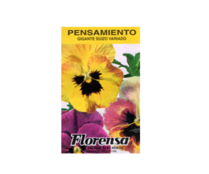 PENSAMIENTO GIGAN.SUIZO SOBR.FLOREN.