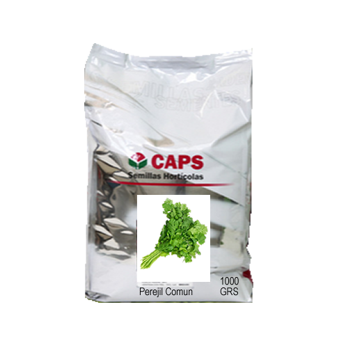 PEREJIL COMUN  x 1 kg CAPS