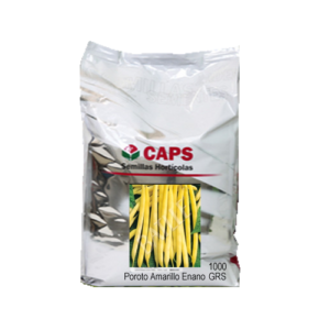 POROTO AMARILLO ENANO  x 1 kg CAPS