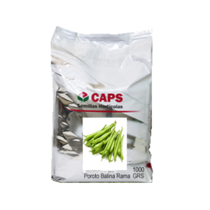 POROTO ALGARVE RAMA CONSULTA x 1 kg. CAP