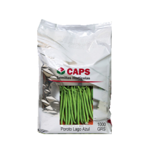 POROTO LAGO AZUL ENANO x 1 kg CAPS