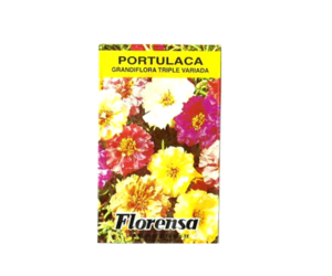 PORTULACA GRANDIF.TRIP. SOBR.FLORE