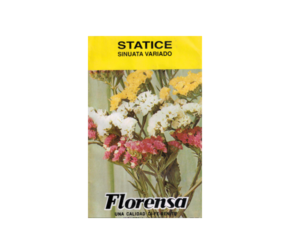 STATICE VARIADA SOBR.FLOR