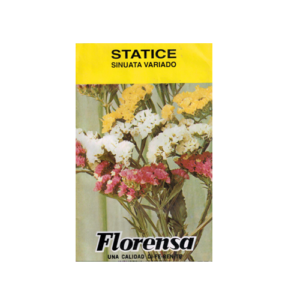 STATICE VARIADA SOBR.FLOR