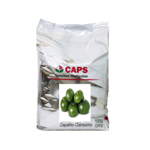 ZAPALLITO CLARISSIMO x 1 kg CAPS
