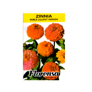 ZINNIA DOBL.LILLIPUT VAR. SOBR.FLOREN.