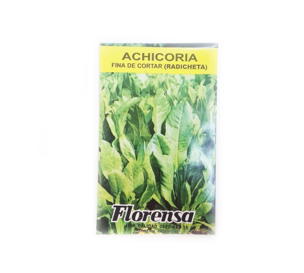 ACHICORIA H.FINA  SOBR.FLORENSA
