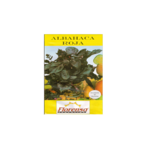 ALBAHACA ROJA  SOBRE FLORENSA