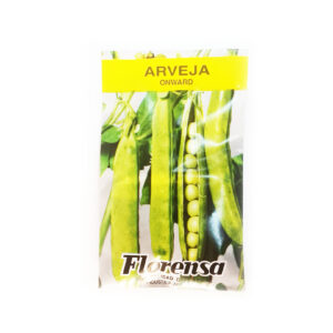 ARVEJA ONWARD SOBR.FLORE