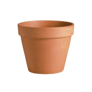 MACETA TERRACOTA COMUN N. 20