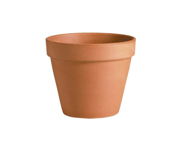 MACETA TERRACOTA COMUN N. 5