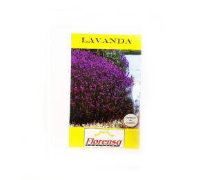 LAVANDA SOBRE FLORENSA