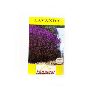 LAVANDA SOBRE FLORENSA