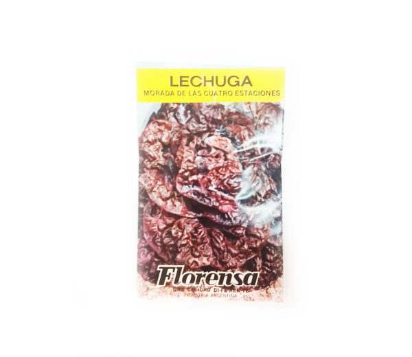 LECHUGA MORADA 4 ESTACIONES SOBR.FLO