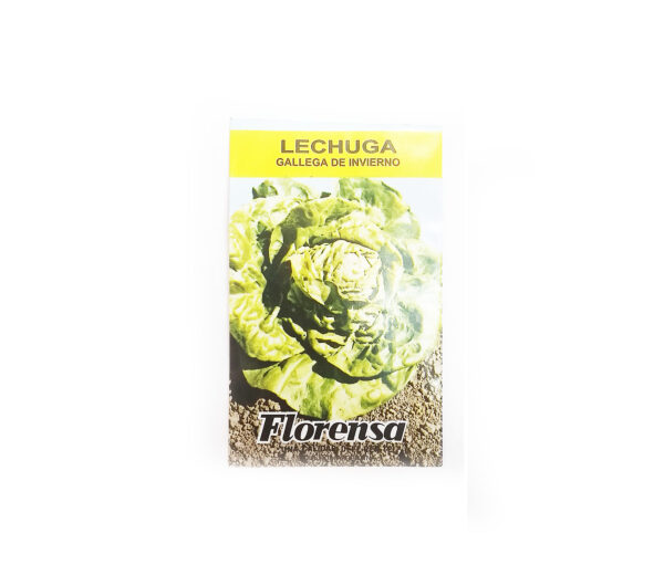 LECHUGA GALLEGA INVIERNO SOBR.FLO