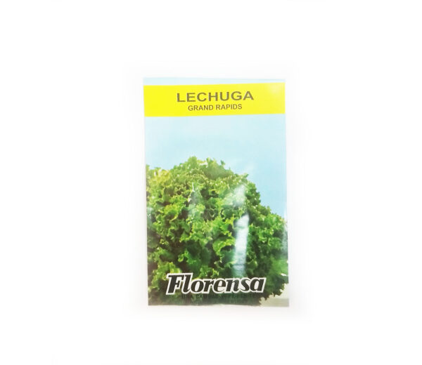 LECHUGA GRAND.RAPIDS SOB.FLORENSA
