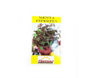 MENTA PIPERITA SOBRE FLORENSA