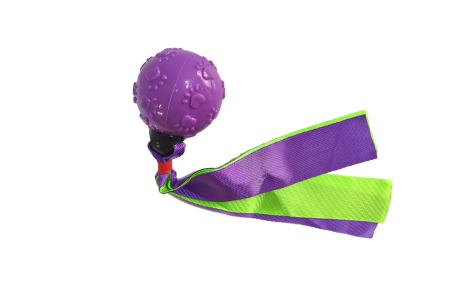 PELOTA HUELLA  C/CHIFLE  Y  CINTAS  0120
