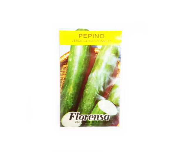 PEPINO VERDE LARGO  SOB.FLORENSA