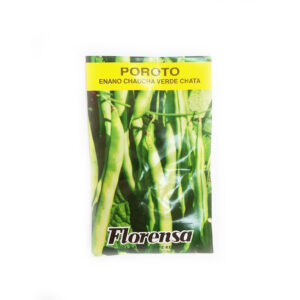 POROTO ENANO VERDE CHATO SOBR.FLORENSA