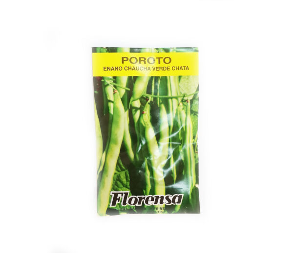 POROTO ENANO VERDE CHATO SOBR.FLORENSA