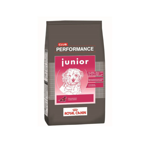 ROYAL CANIN PERFORMANCE JUNIOR X 15 kg