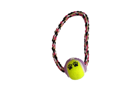 SOGA C/PELOTA  TENIS .0.  99031