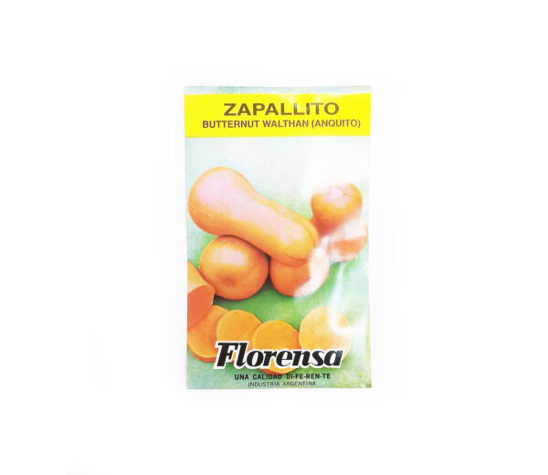 ZAPALLITO BUTTERNUT WALTHAM SOBR.F