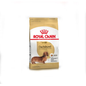 ROYAL CANIN DACHSHUND Adulto x 3kg