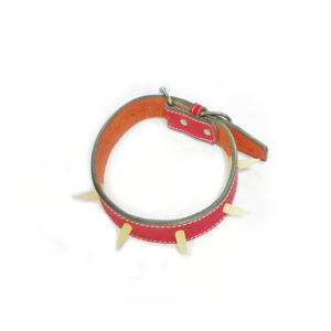 COLLAR C/5 COLMILLOS 2.5 x 50 cm. 5258
