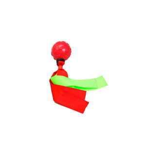 PELOTA C/TELA Y CHIFLE 240 10120