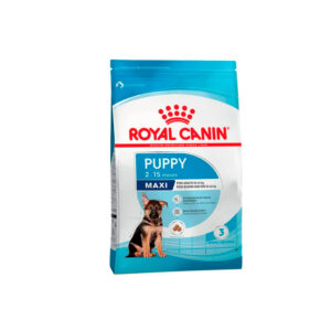 ROYAL CANIN MAXI Puppy x 15 kg OF